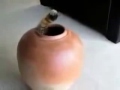 Самое интересное видео