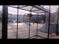 Подборка неудач за январь 2013