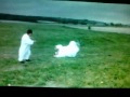 Jackass - Vento do jato - lol