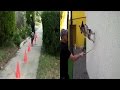 Очень умная собака