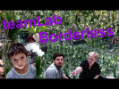 teamLab Borderless - музей будущего