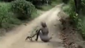 5 Необъяснимых Вещей, Снятых на Камеру