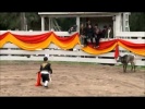 Jackass 2.5- El matador