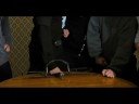 Bloodhound Gang - Jackass