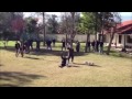 ЛУЧШИЕ ПРИКОЛЫ ЗА НЕДЕЛЮ (ВЫПУСК 1) samyy klass