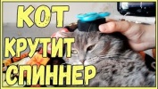 СМЕШНЫЕ КОТЫ И КОШКИ 2017 ПРИКОЛЫ С КОТАМИ