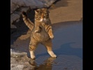 ЛУЧШИЕ ПРИКОЛЫ #17