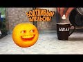 Болтливый Апельсин - Зефир