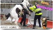 ПРИКОЛЮХА #214 ПРИКОЛЫ подборка приколов Август 2015 приколы 2015 жесть ржака угар ржач компиляция