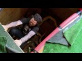 Jackass 3D: Broma con Serpientes - Español Latino