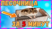 Песочница для хомяка за 5 минут