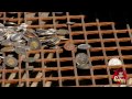 Fundraised Funds Down the Drain!