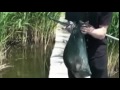 Щука клюнула на меньшую по размеру щуку