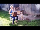 Угарные приколы про домашних животных Самые милые