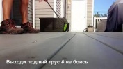 Выходи подлый трус # не боись 