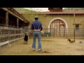 Jackass 3 - Ram Jam
