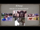 Юмор люди и животные