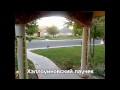 Лучшее с инета за неделю. ChooDuck #9 Zap Web (Funny compilation) 08/11/2012