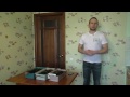 Как вырастить рассаду помидоров?