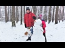 Приколы с котами и Приколы с собаками