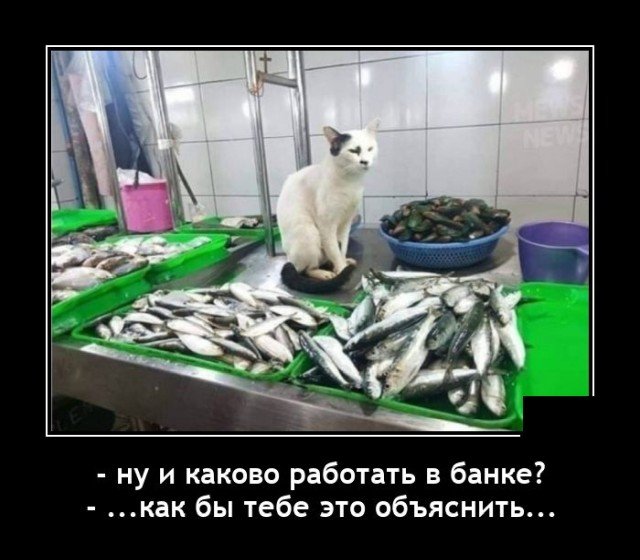 запилили.рф