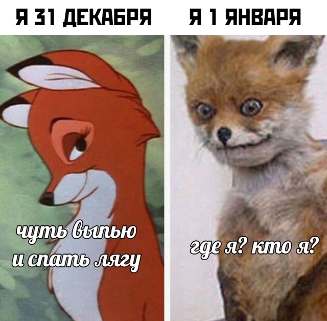 s_novim_godom_19.jpg