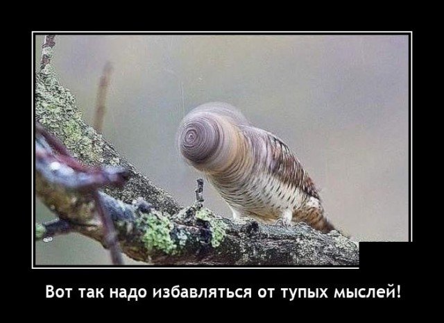 запилили.ру
