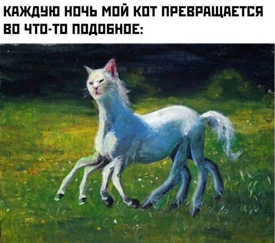 веселые картинки (16).jpg