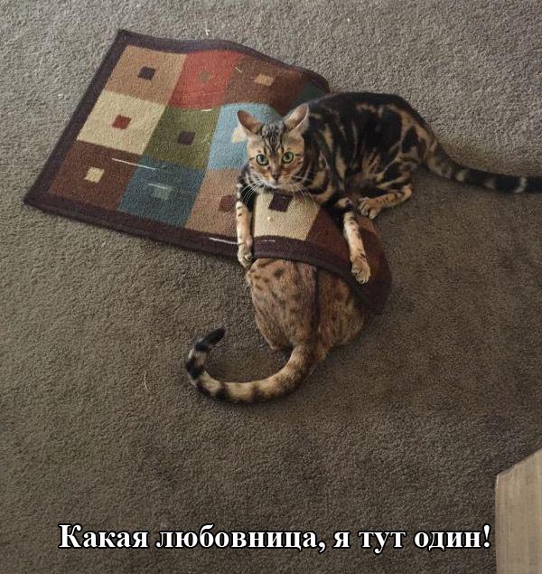 podborka_01.jpg