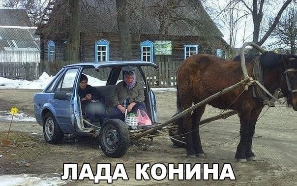 лада конина