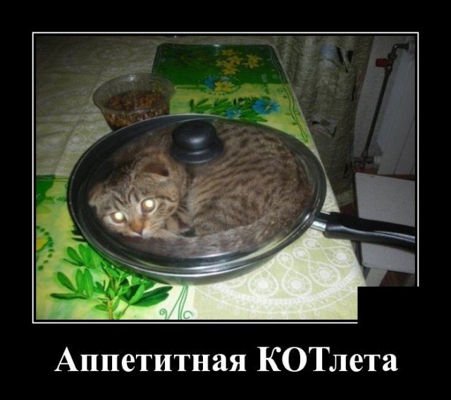 запилили.ру