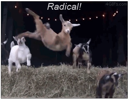 fauna.jpg
