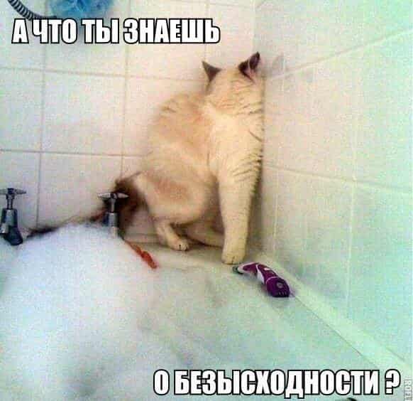 Безысходность