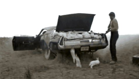 gifs_00.jpg