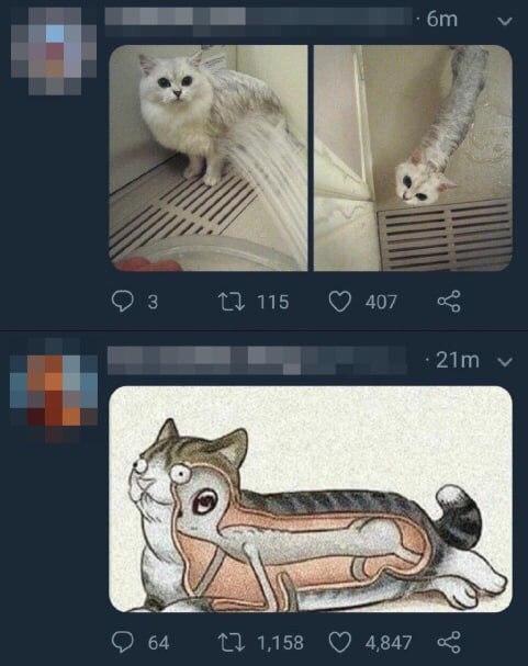 zapilili.ru