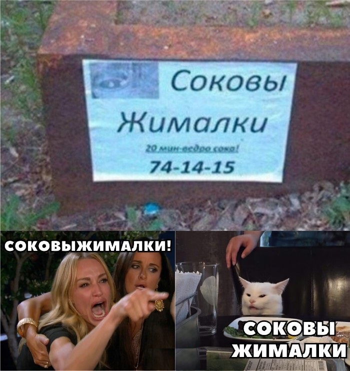 Убойные мемы с котом, которые зарядят позитивом
