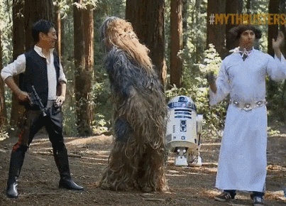 gifs_00.jpg