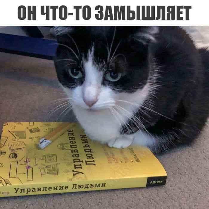запилили.рф