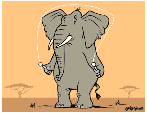 elefant.jpg