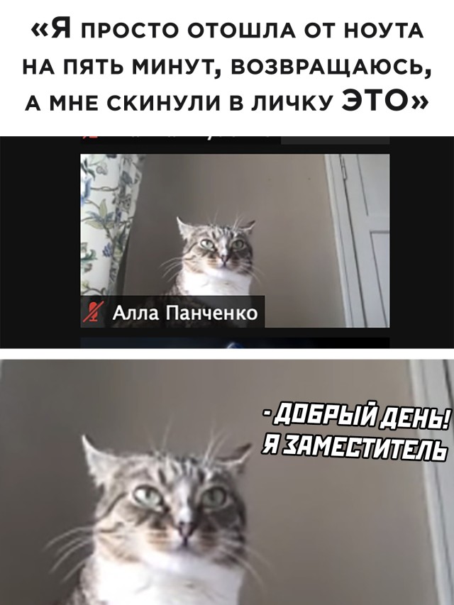 1610640947_podb_vecher_26.jpg