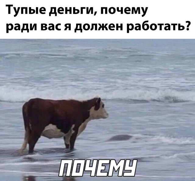 запилили.рф