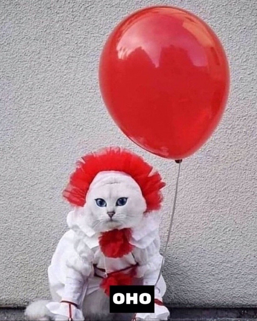 котоперсонажи (1).jpg