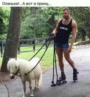 запилили.рф