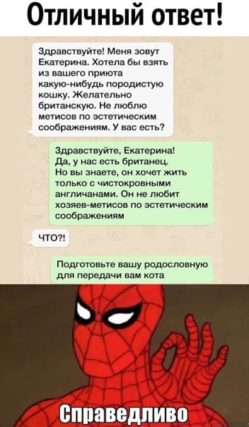 остроумно 