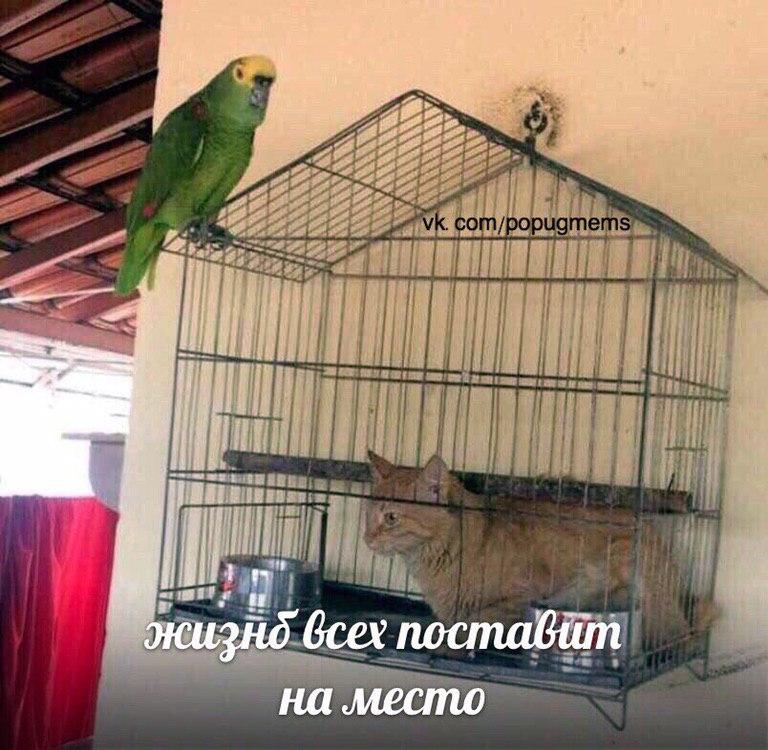 Правосудие