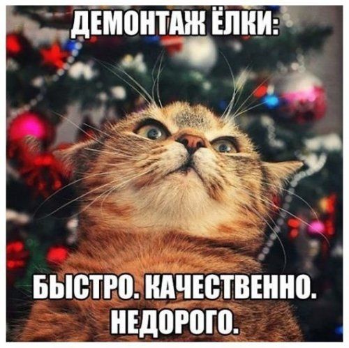 ДЕМОНТАЖ ЕЛКИ