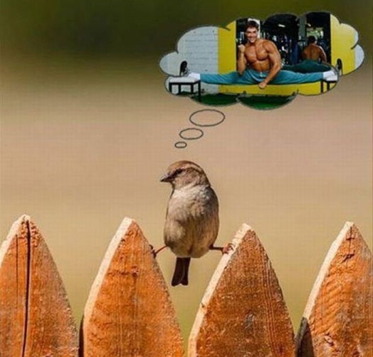 prikolnie_kartinki_zapilili.ru_16.jpg
