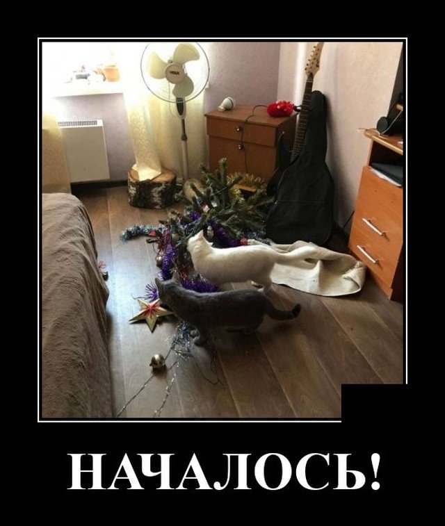 1608149883_16.jpg
