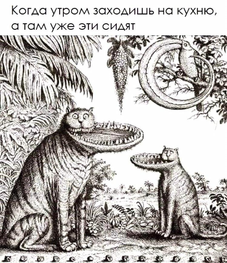 zapilili.ru