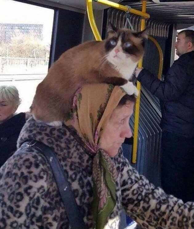 запилили.рф